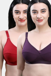 Maroon, Purple